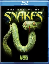 Beauty of Snakes, The (2008)