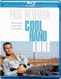 Frajer Luke (Cool Hand Luke, 1967)