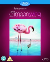Crimson Wing, The: Mystery of the Flamingos (2008)
