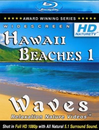 HD NatureTV: Hawaii Beaches 1 - Waves (2009)