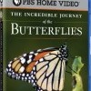 Nova: The Incredible Journey of the Butterflies (2009)