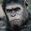 Kolekce Planety Opic: Podívejte se na náhled filmové brožury