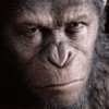 Úsvit Planety opic: Mrazivý trailer na černého koně léta